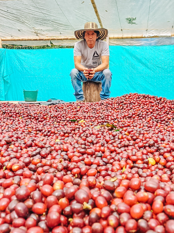 Colombia Decaf Espresso Atunkaa Washed