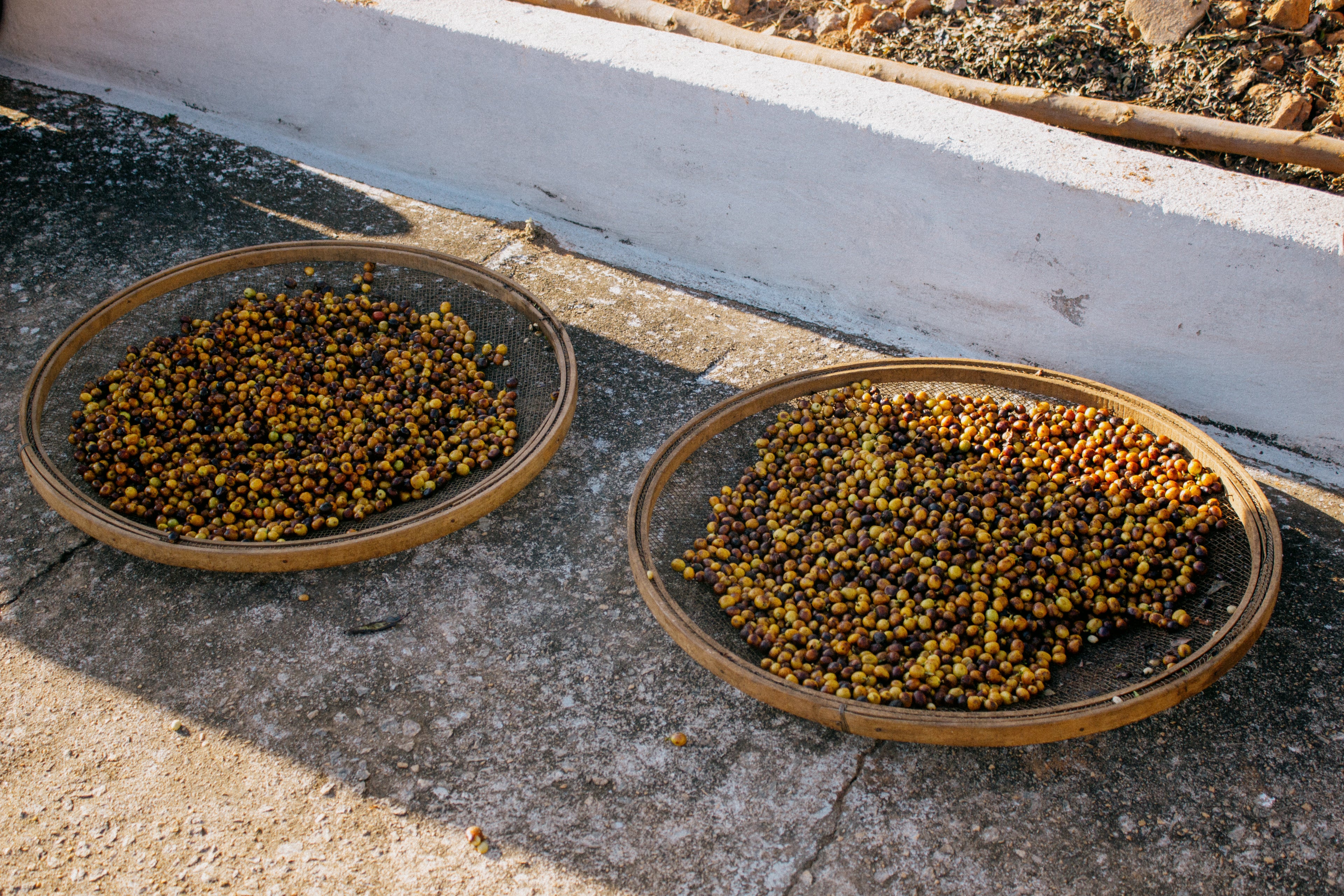 Espresso Classico