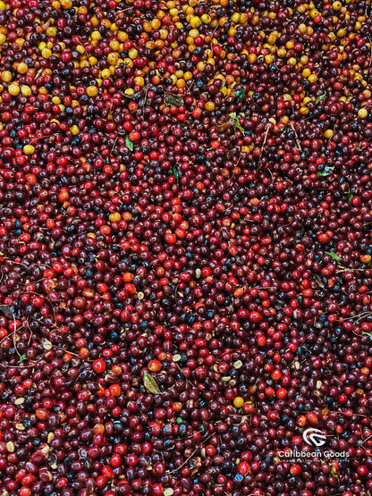 Mountain King Guatemala Amatillo Espresso Micro Lot