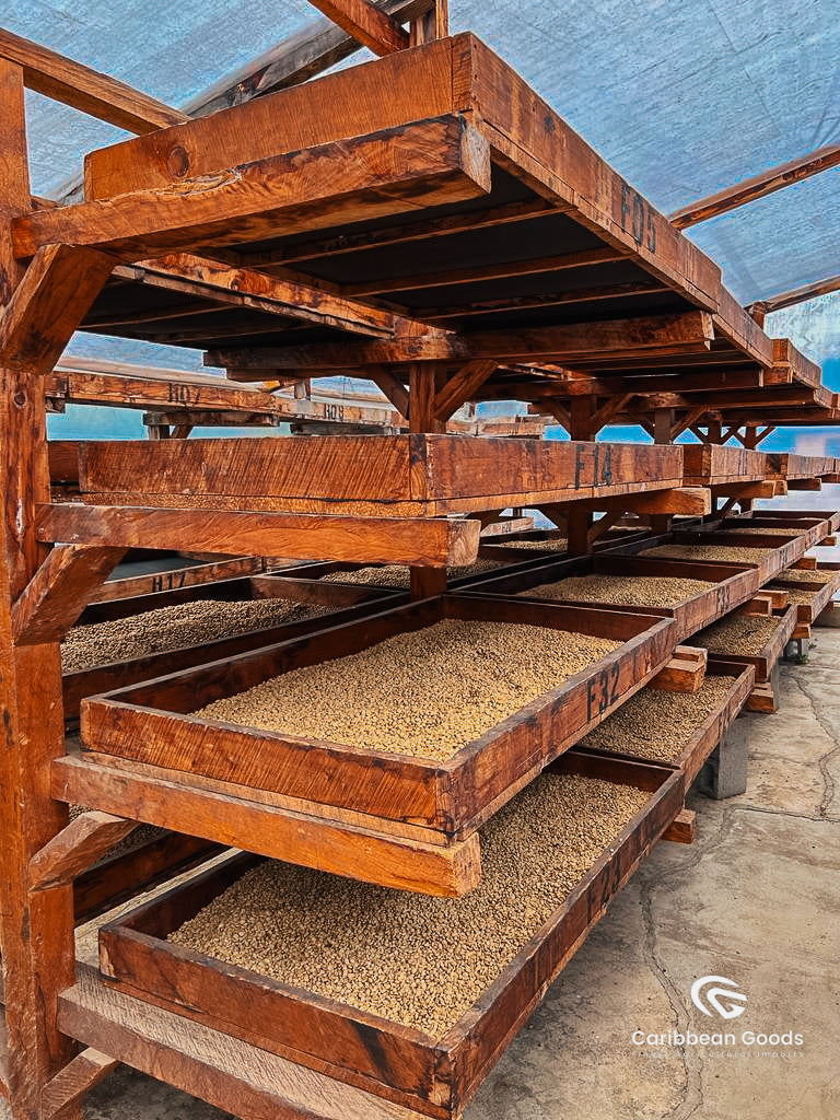 Mountain King Guatemala Amatillo Espresso Micro Lot